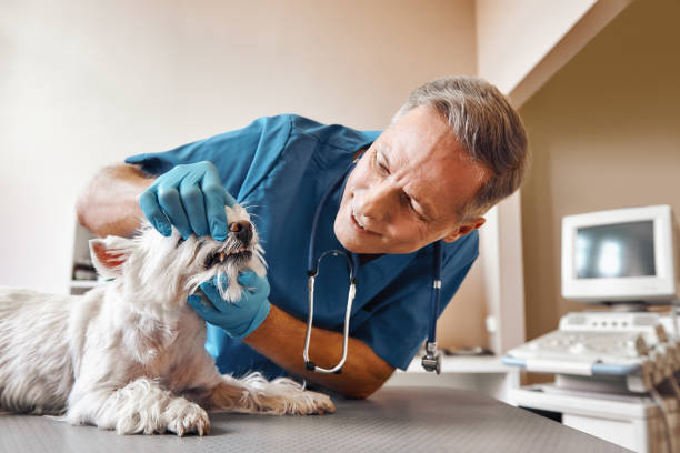 Best Weekend Emergency Dentist in Coeburn, VA